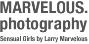 Larry Marvelous Photography Logo